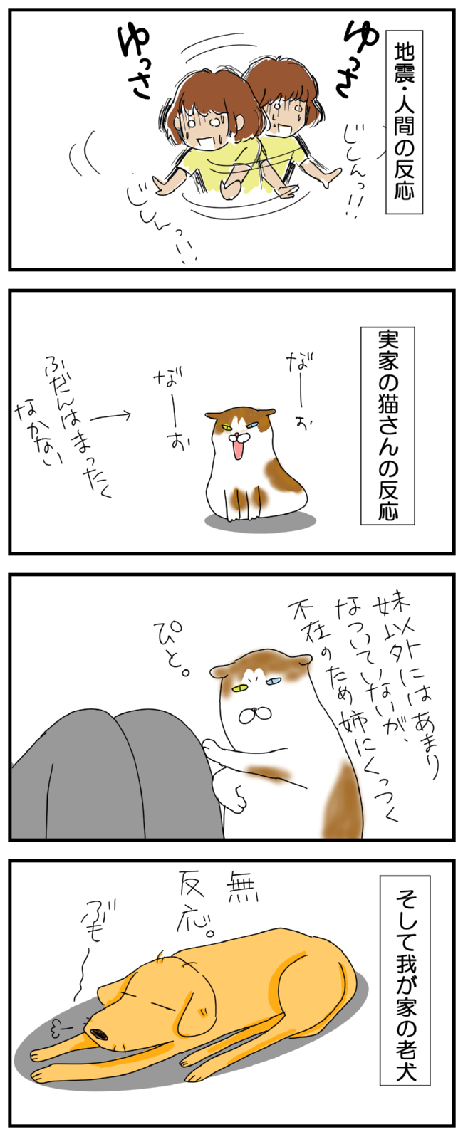 ゆるいマンガ 老犬ゴルゴさんと 16 地震だ 実家の猫さんとゴルゴさんは じゃいのあらし